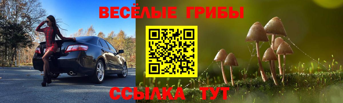 Галлюциногенные грибы GOLDEN TEACHER Ирбит