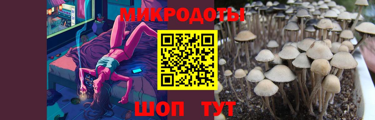 Галлюциногенные грибы Psilocybine cubensis  где можно купить наркотик  Ирбит  Вход с VPN  Псилоцибиновые грибы ЛСД 